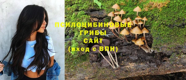 а пвп мука Новодвинск